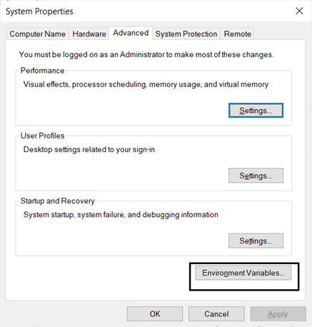 environment variable window